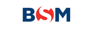 bsm